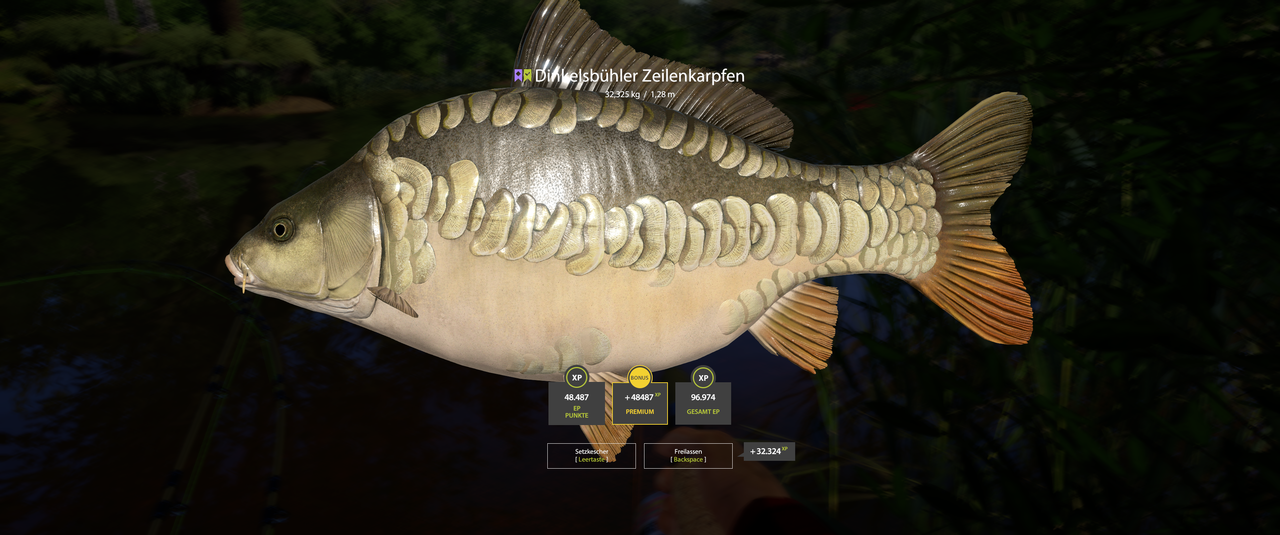 Schon recht nah dran.... 😎