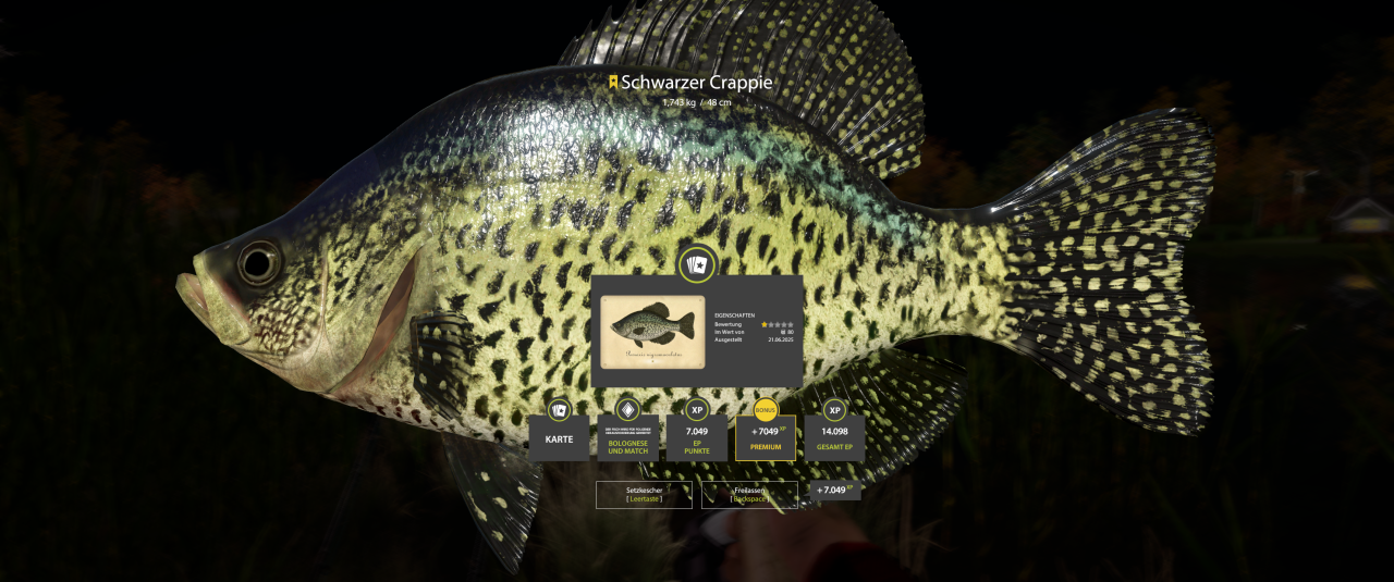 Jetzt eben (in der Nacht) an Spot 4 auf Pose mit Grille/Tauwum, Clip 10m.