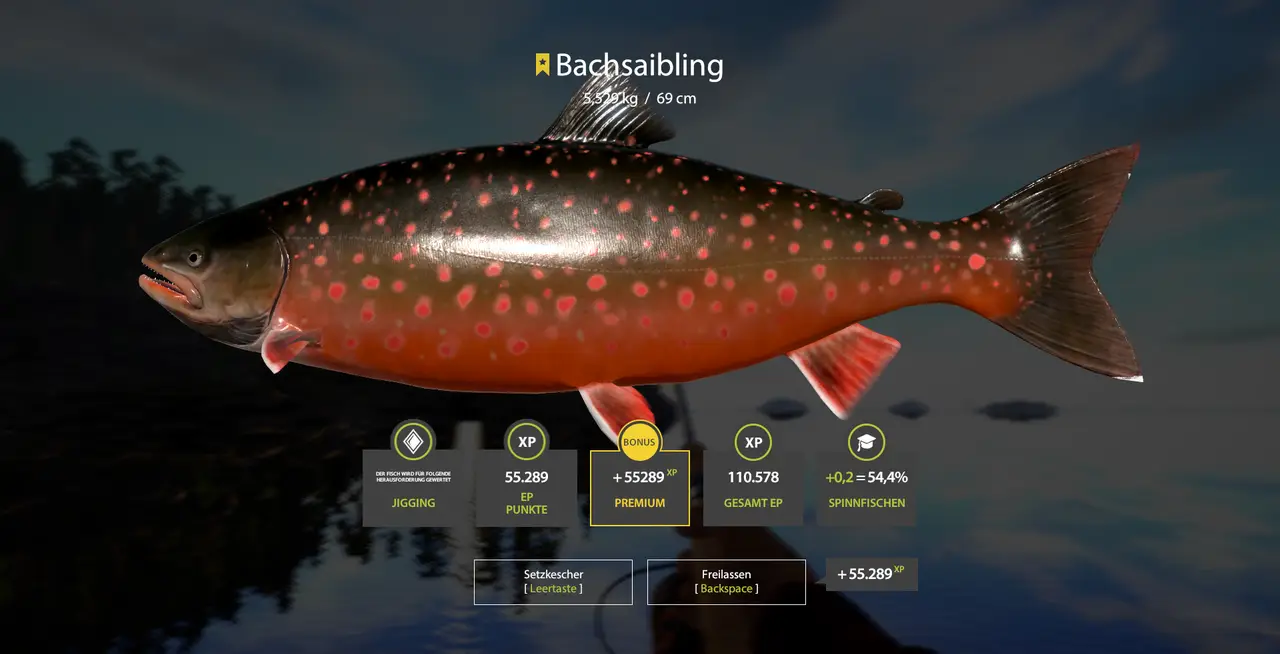 Ladoga - 60:40 - Jig - 80 % Auswurf, mit 28er Geschwindigkeit gejiggt - 455 Silber in 1h