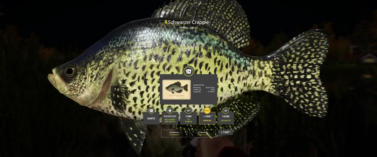 Jetzt eben (in der Nacht) an Spot 4 auf Pose mit Grille/Tauwum, Clip 10m.