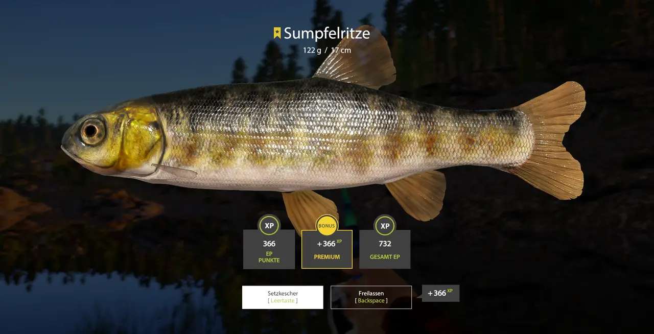 Am Ladogasee kann man die Sumpfelritze abschliessen - 8m Auswurf - auf der Insel am Leuchtturm